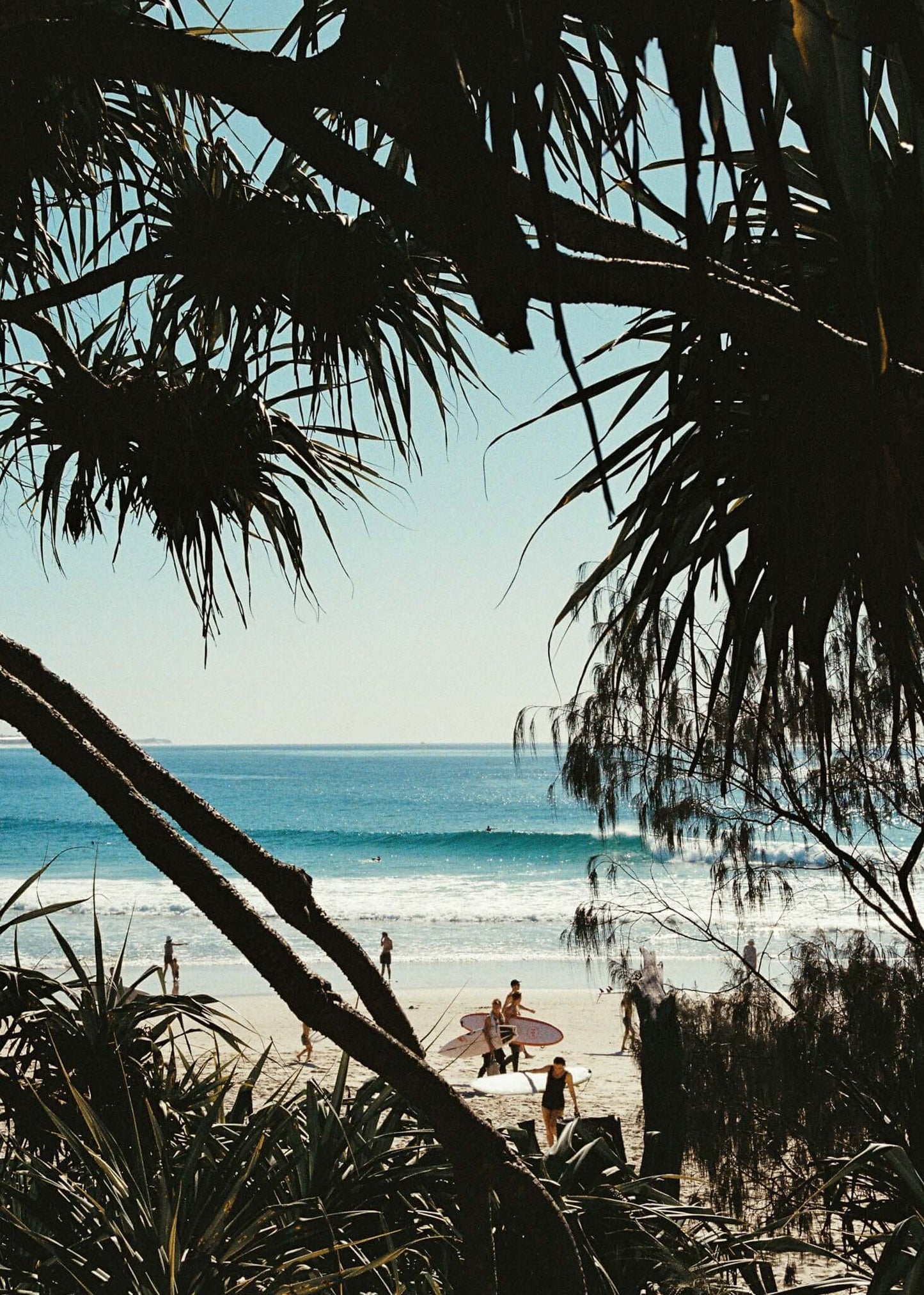 Through the trees - Nostalgia 35